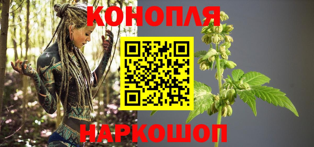 Шишки марихуана план  Марихуана MAZAR  Вход с VPN  Волгодонск  Канабис сатива 